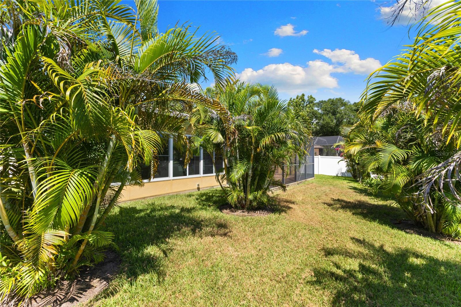 View of the Back Yard
