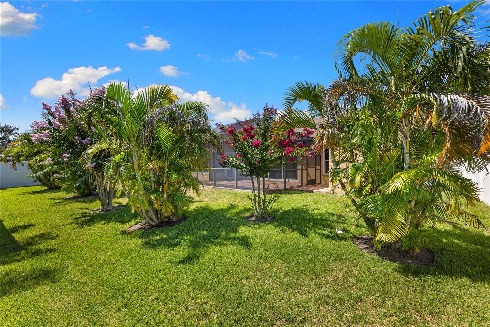 View of the Back Yard