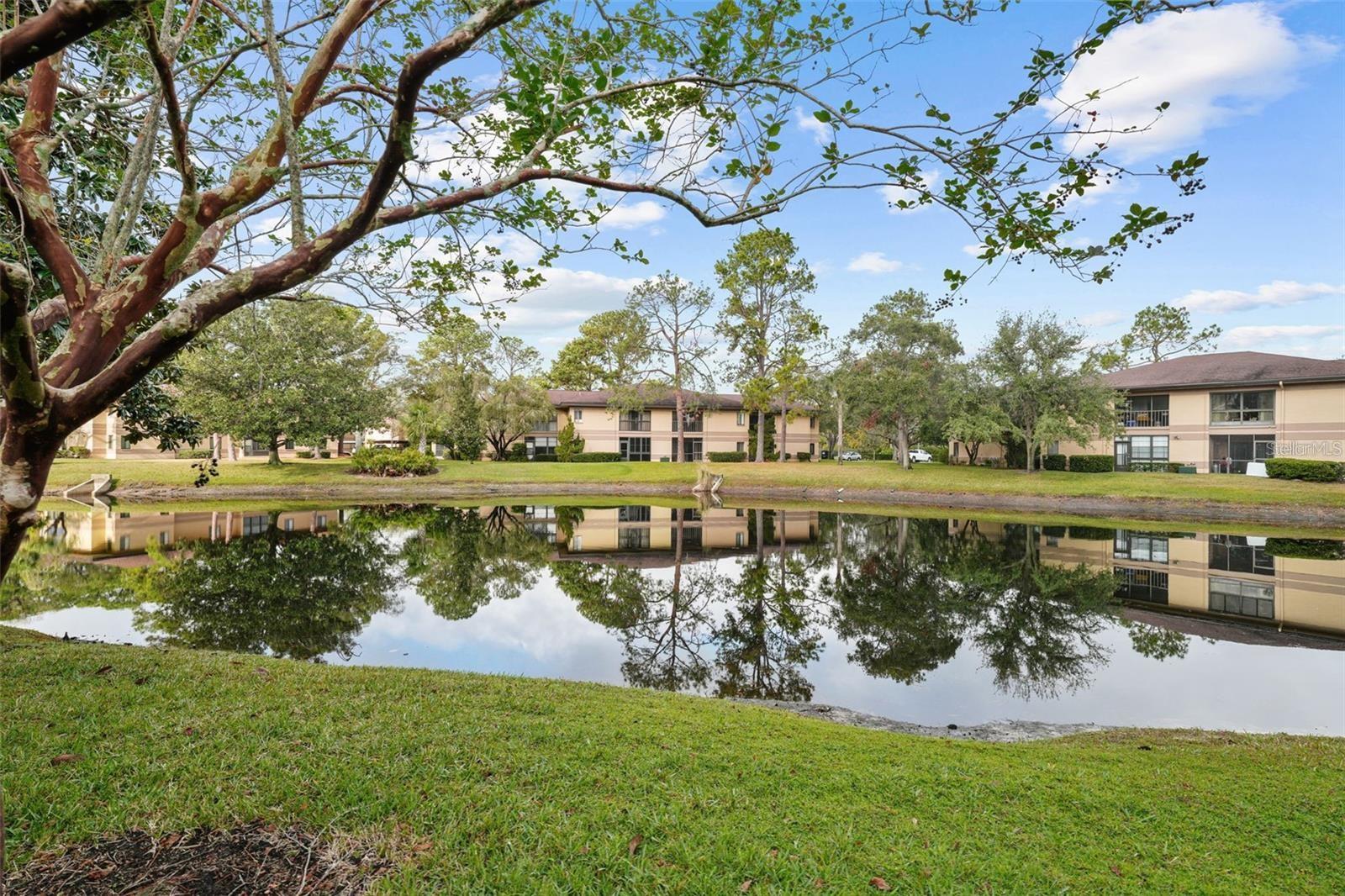 View of the Pond.