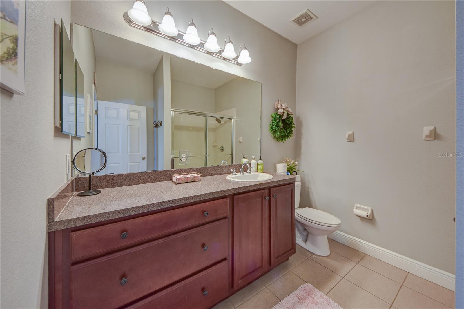 Downstairs Full Guest Bathroom