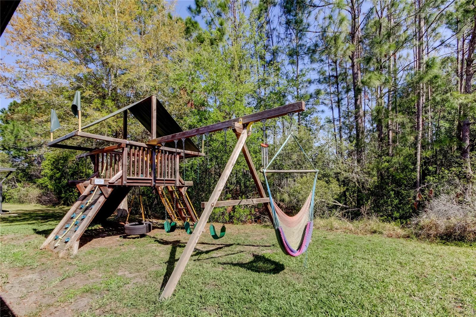 Backyard - play set can stay!