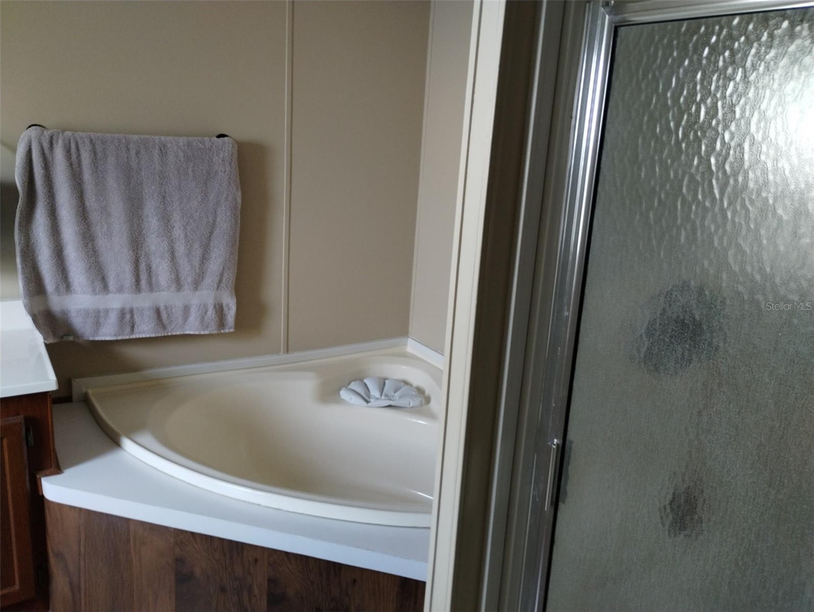 Primary Ensuite Bath with Garden Tub and Separate Walk In Shower