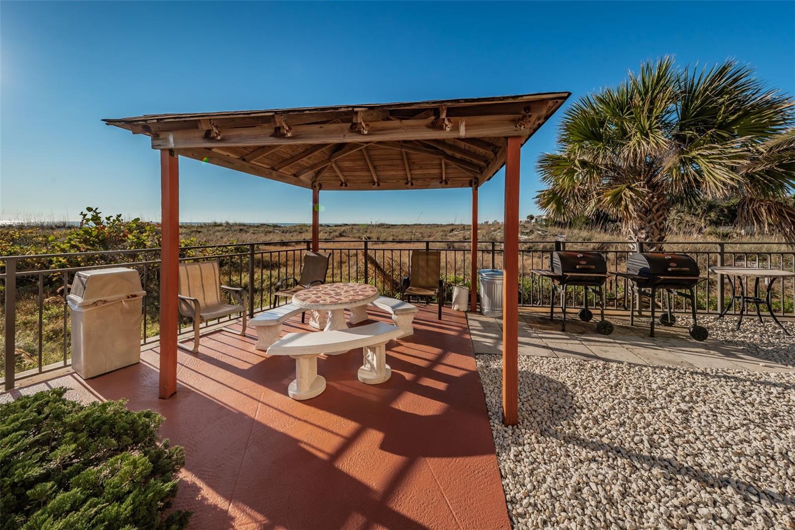 Grilling and patio area