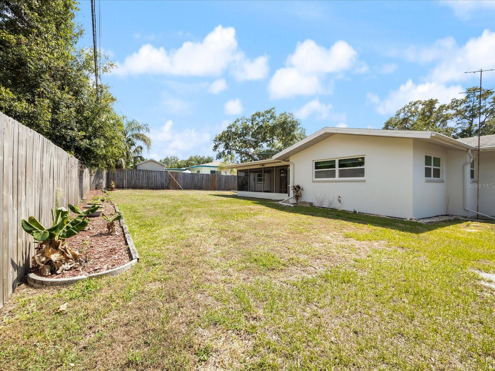Back and side yard