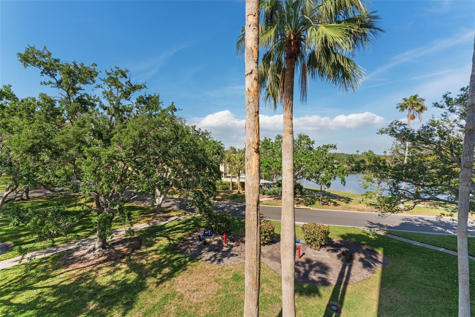 Lake and Treetop views