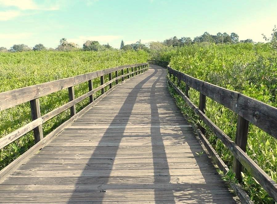 boardwalk fishing pier
