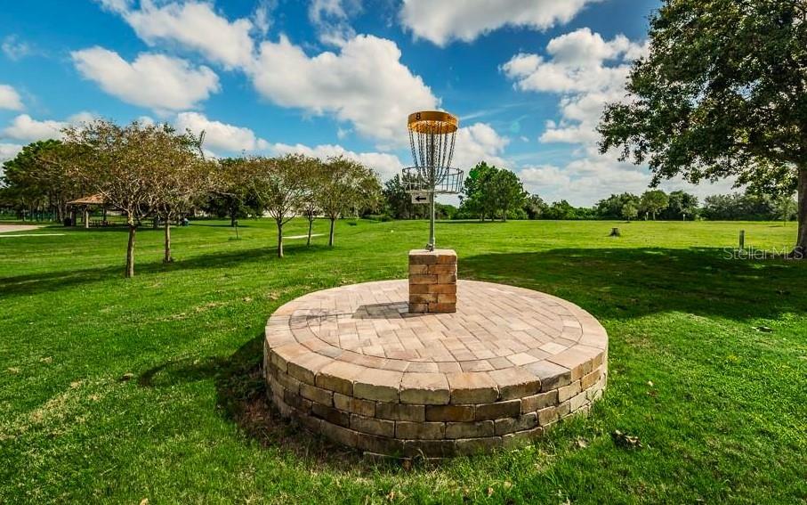 disc golf