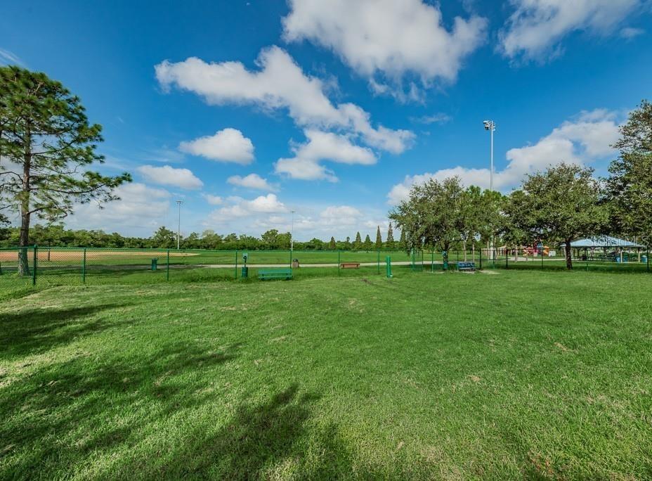 dog park