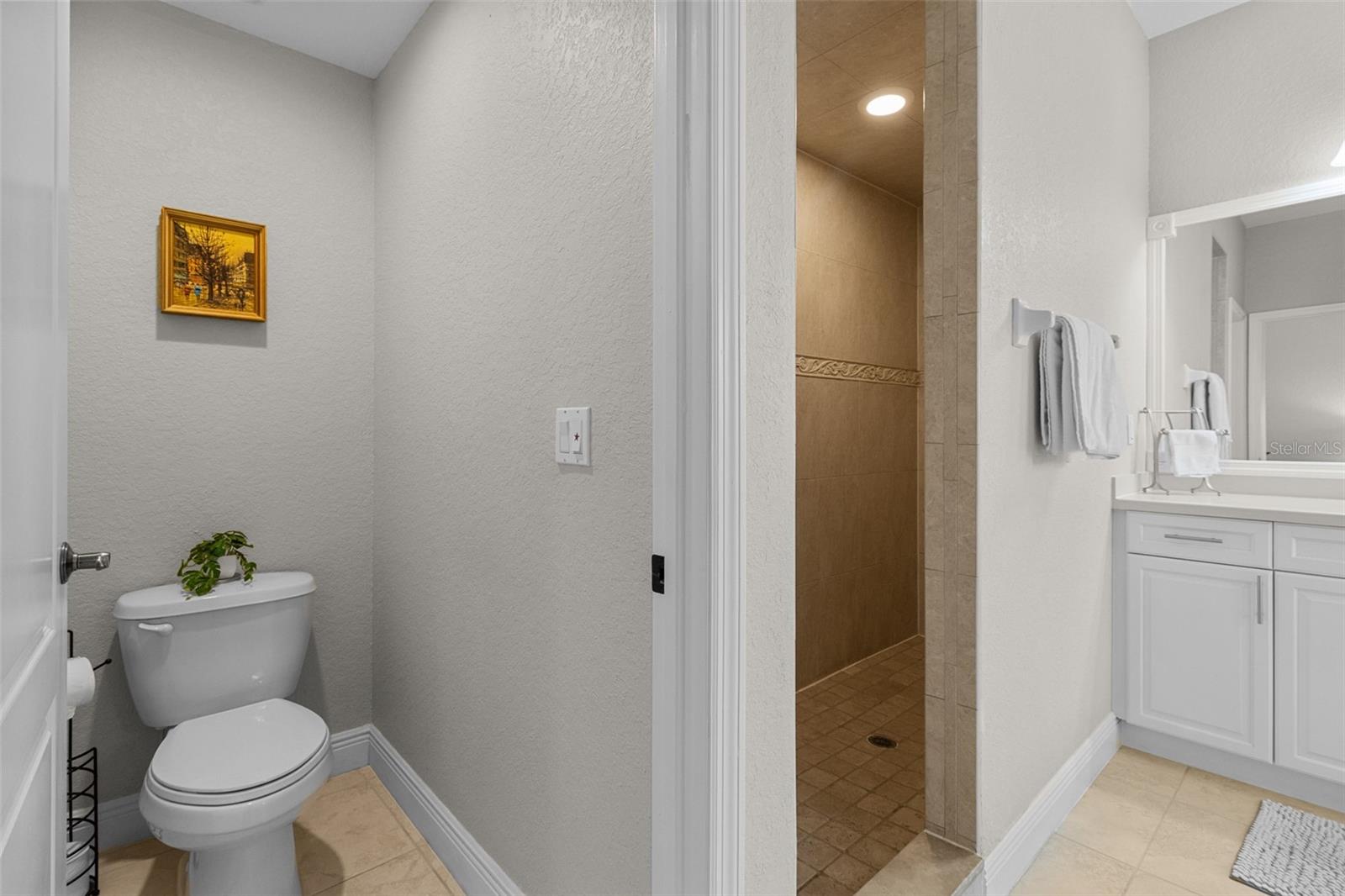 Separate toilet closet