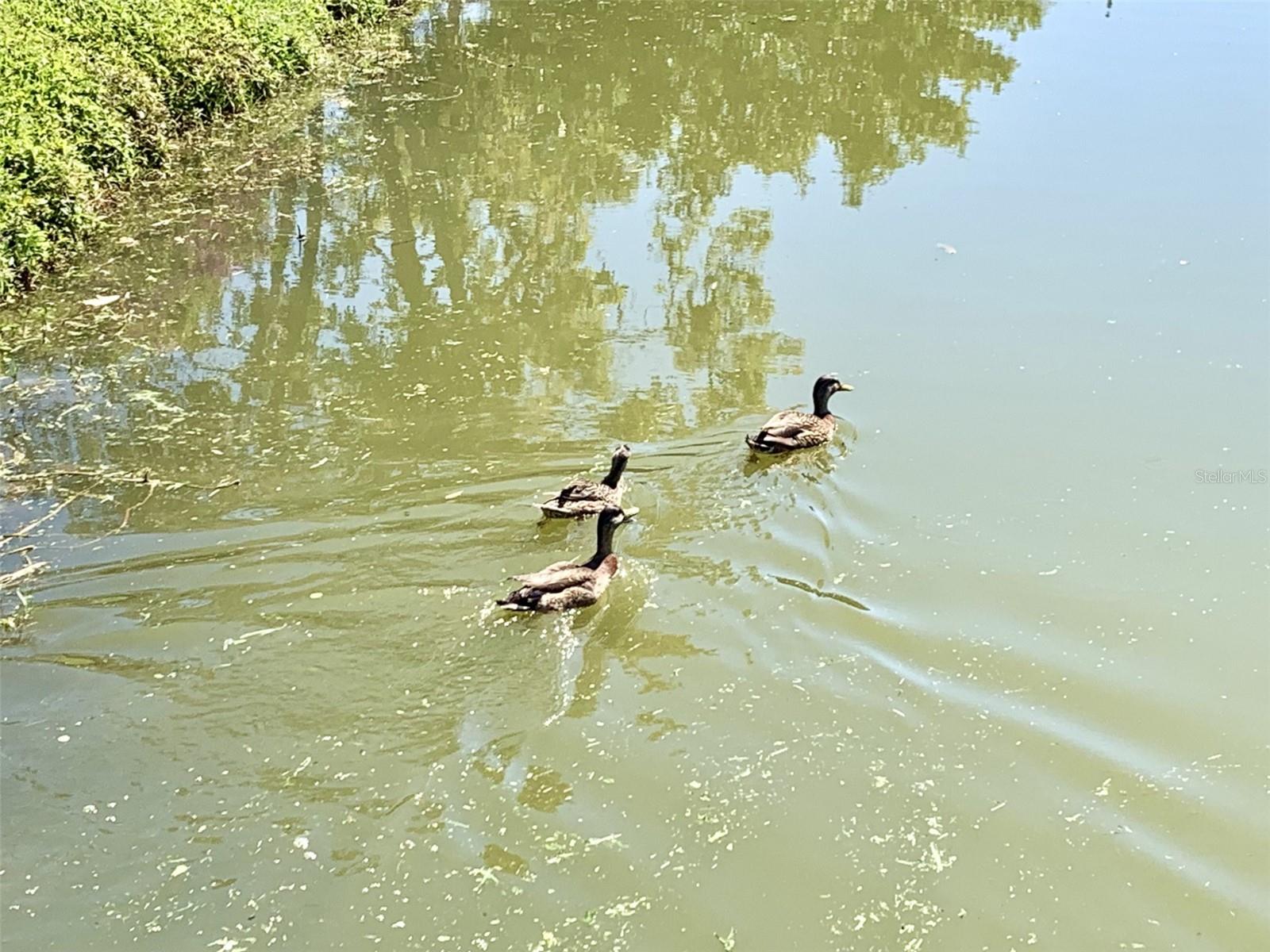 Feel the tranquility of nature.