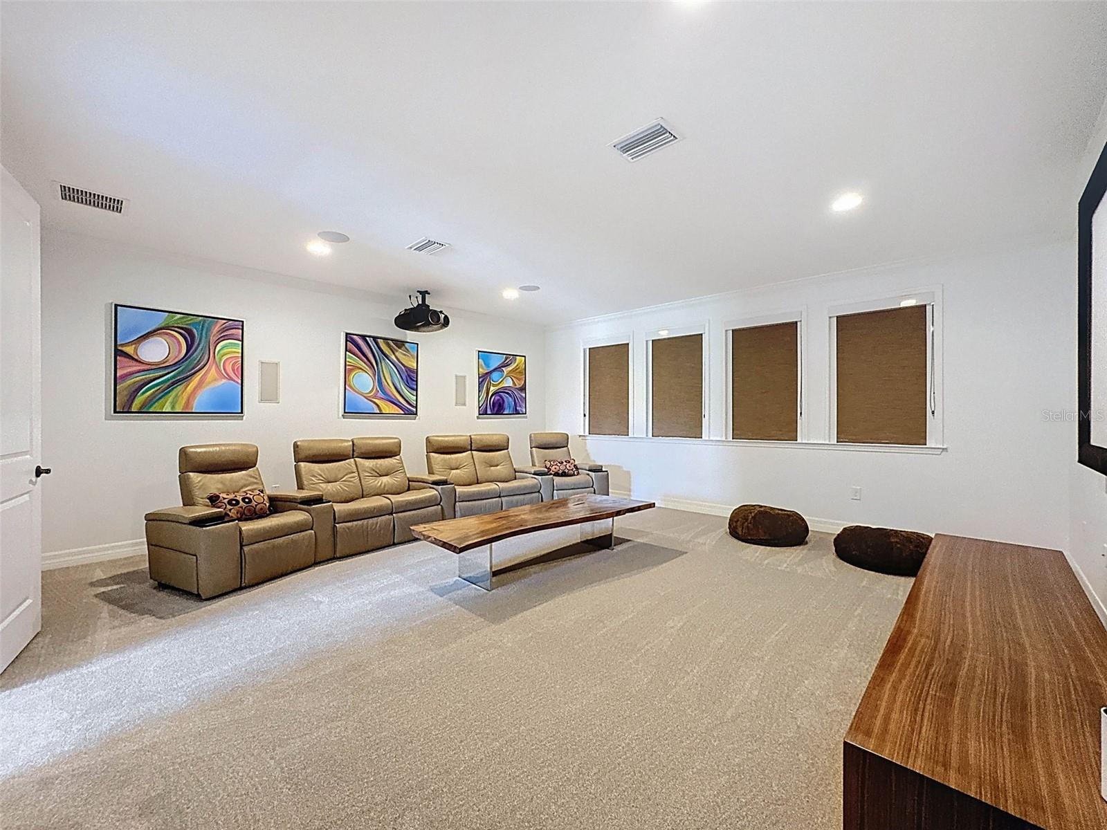 Theater Room