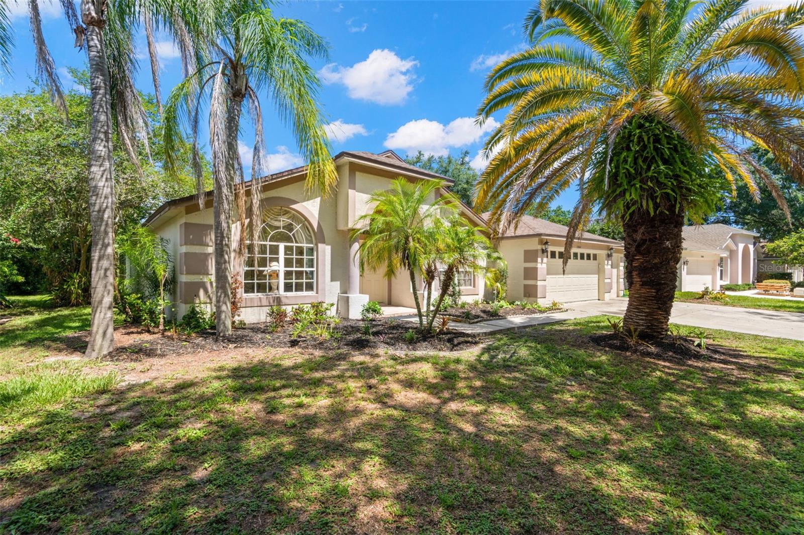 Mature Landscaping