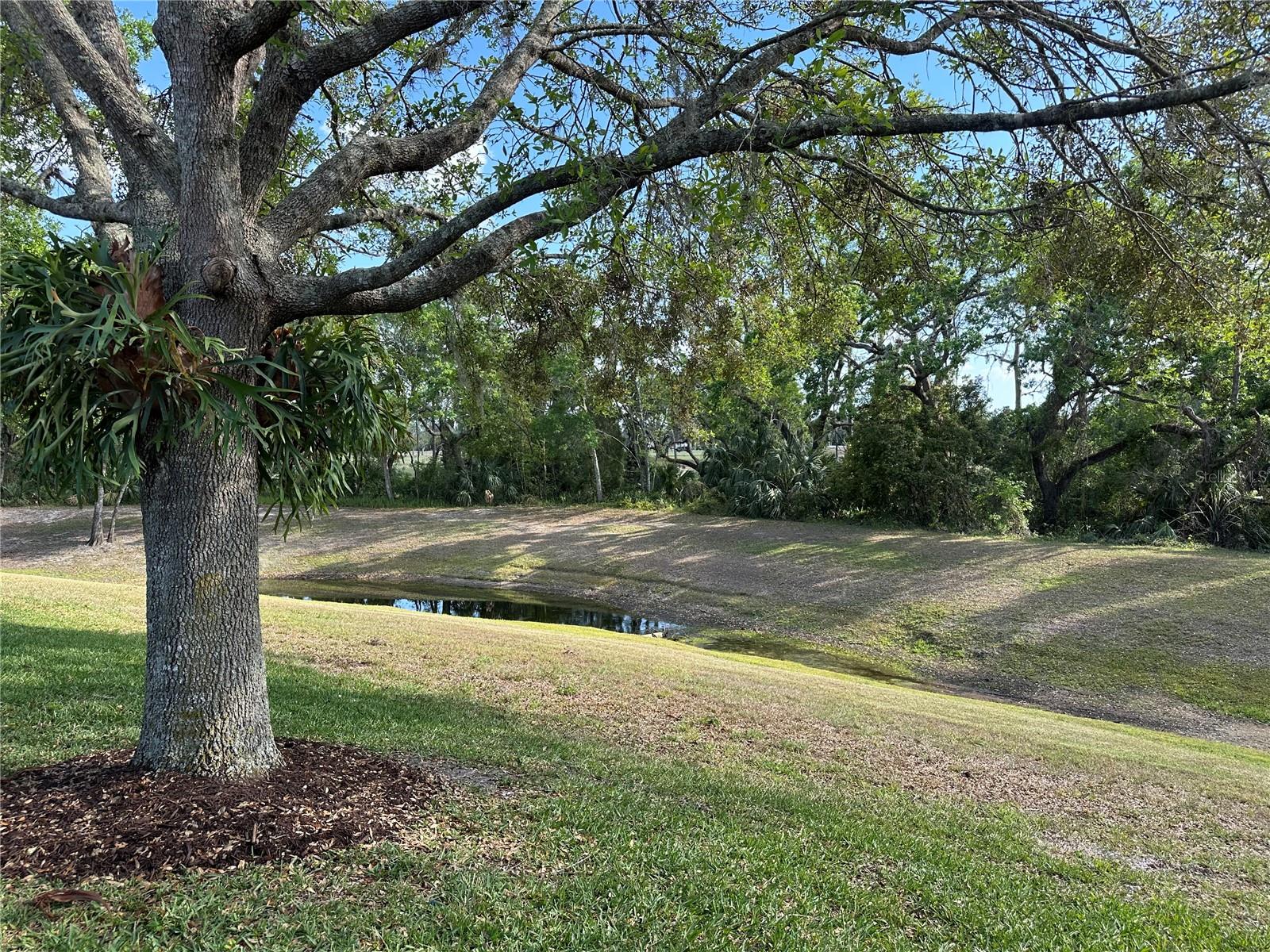 Back yard golf course and pond view