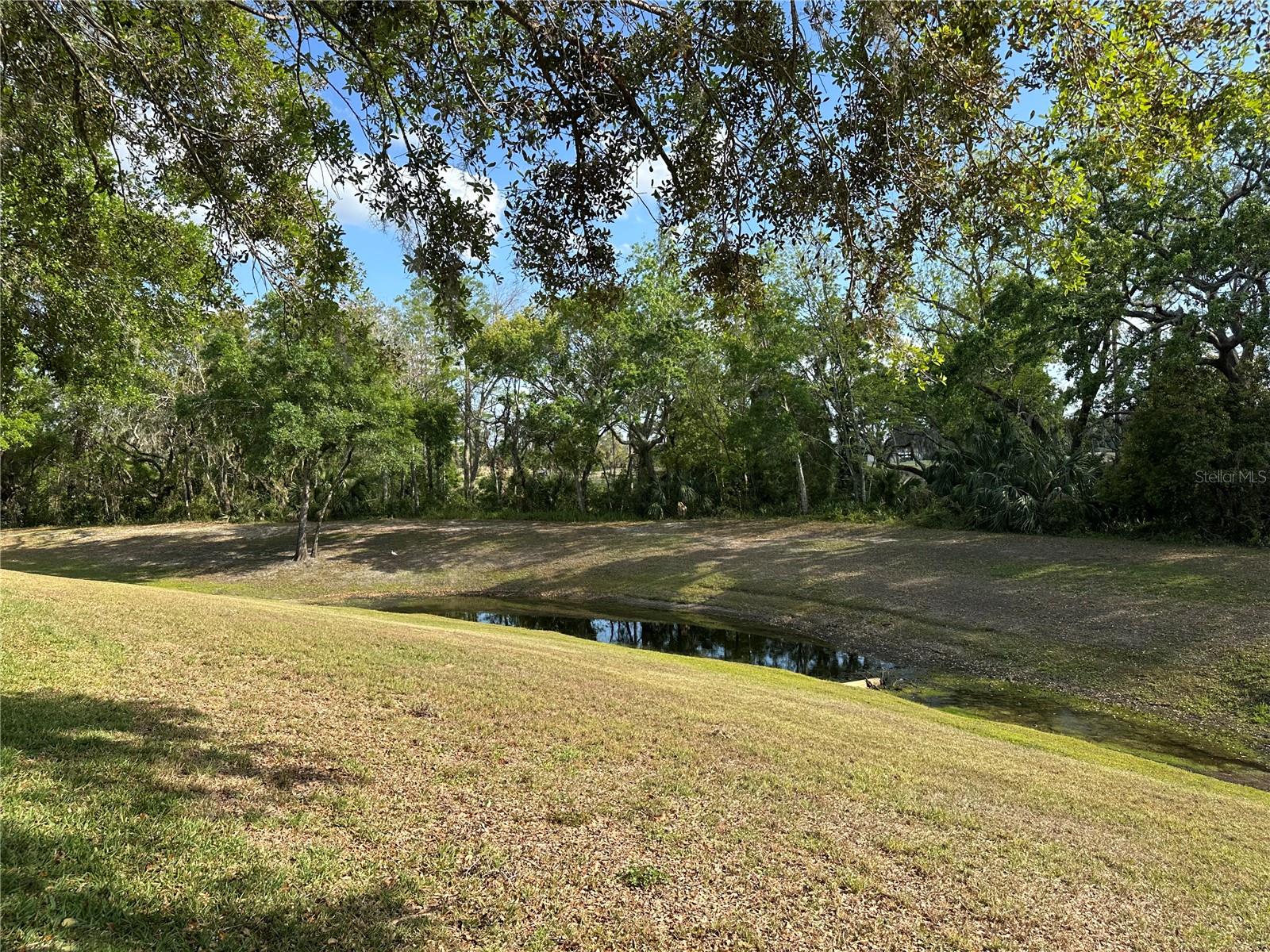 Back yard
