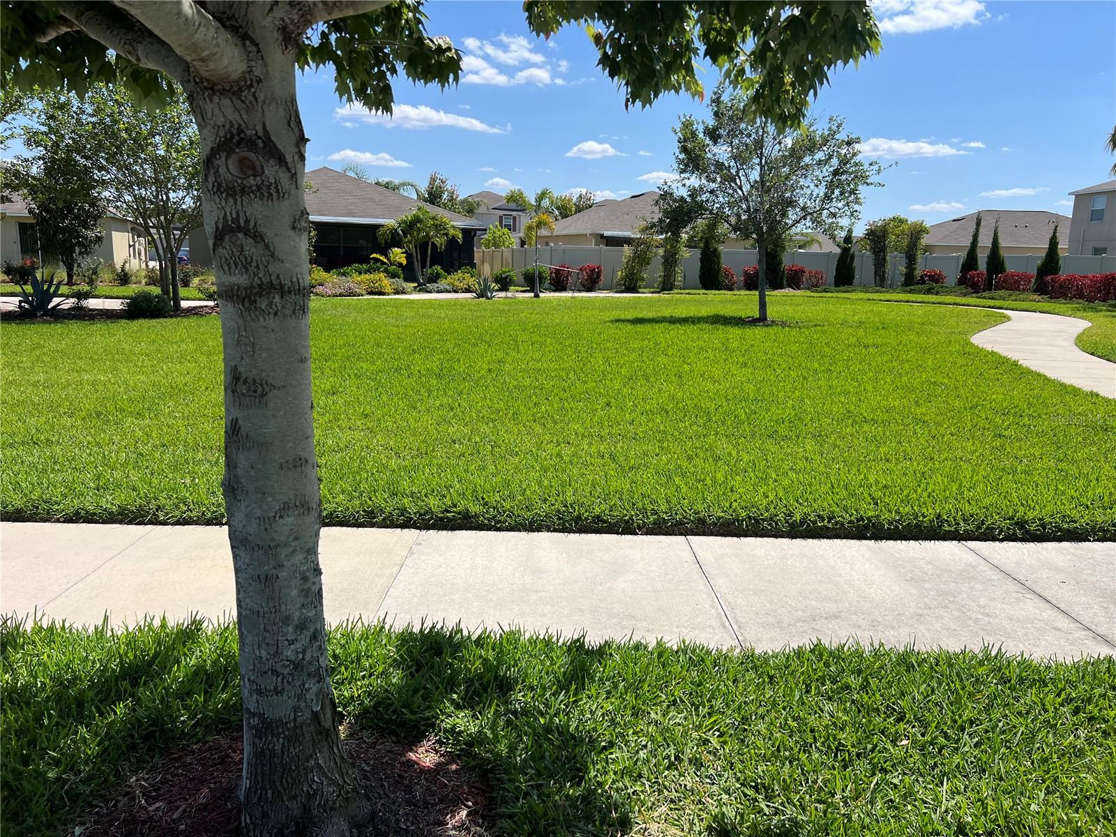 Park in front of the property.