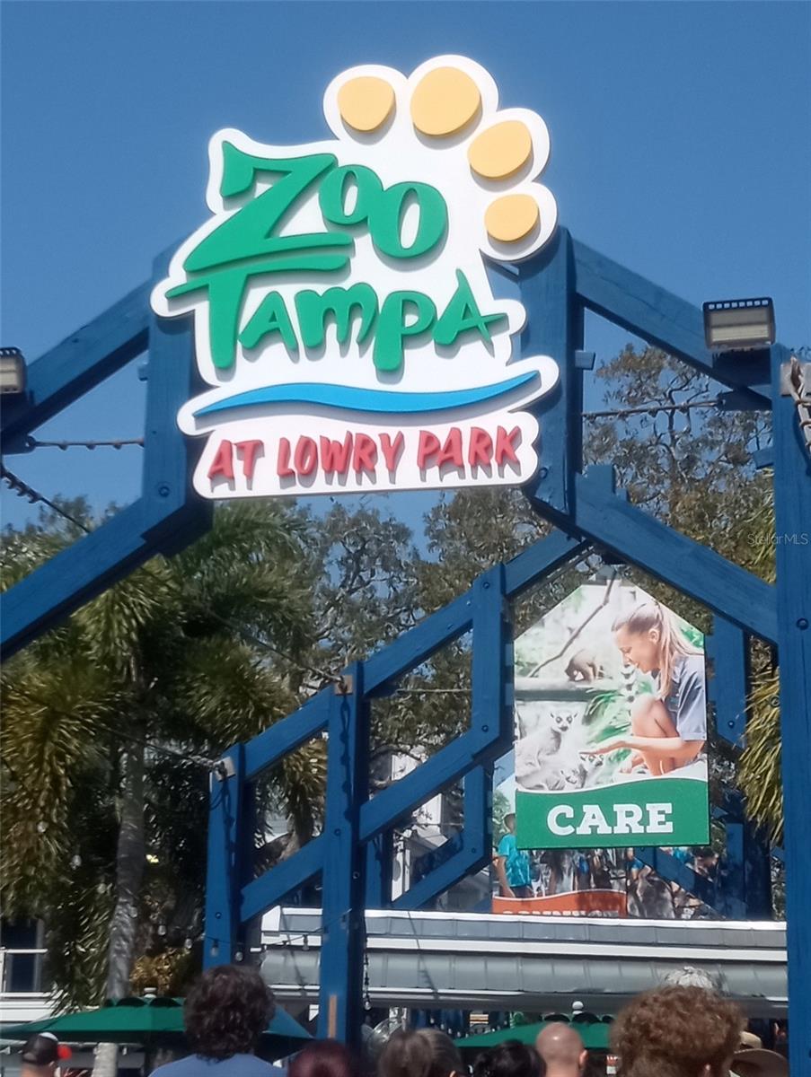 Steps to ZooTampa