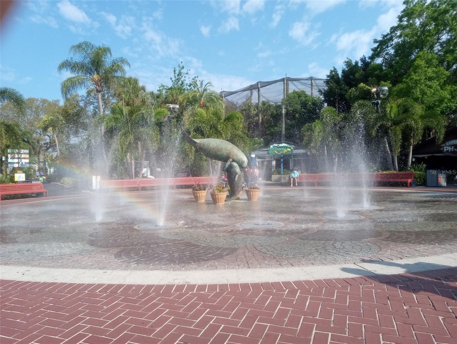 Steps to ZooTampa