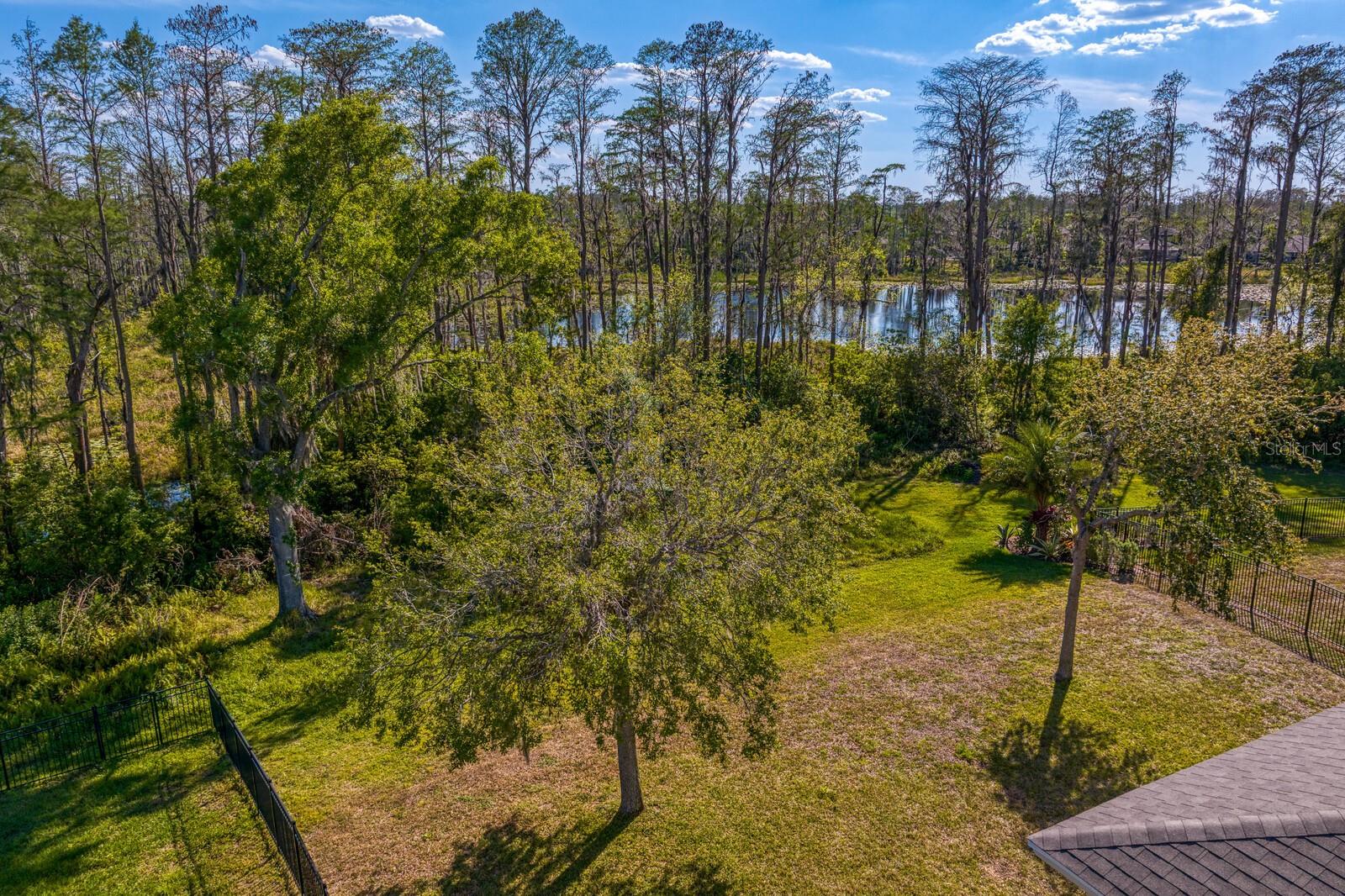 Gorgeous woods & water views from the home