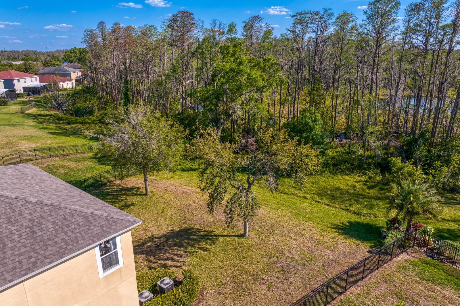 More fantastic backyard views