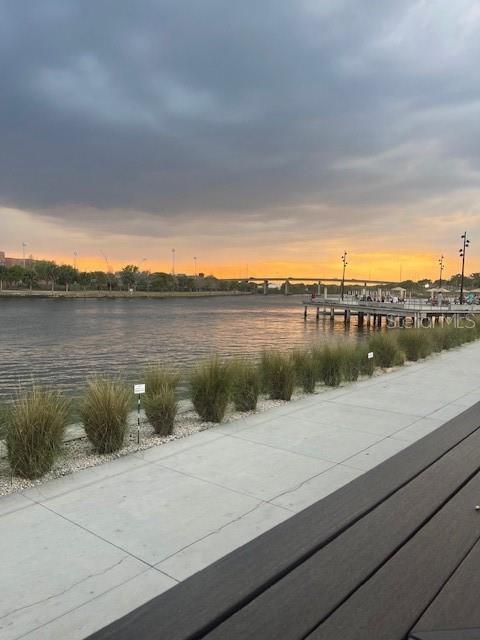 Hillsborough River by Riverwalk