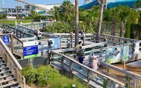 Manatee viewing center