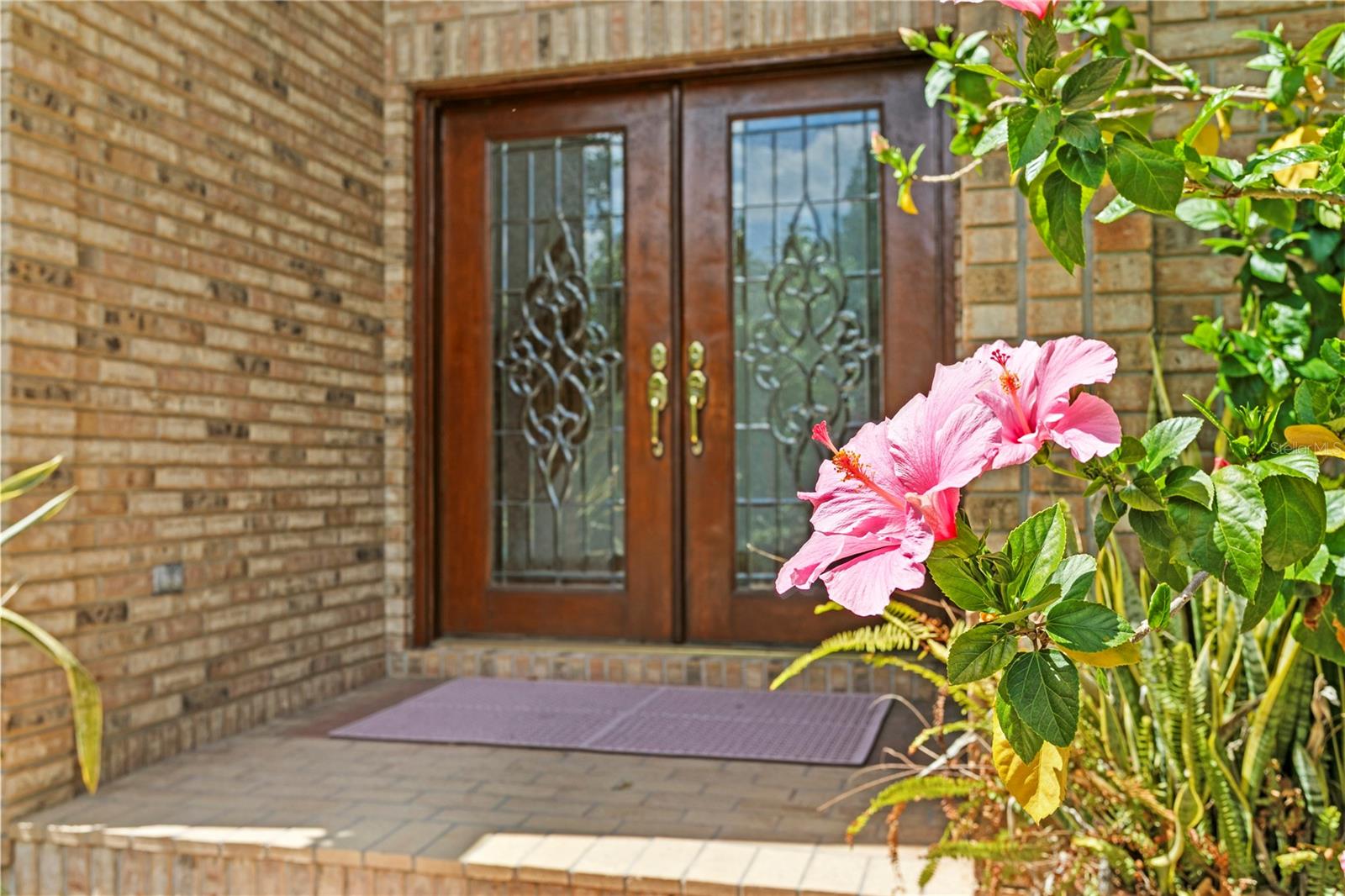 Glass Double Door Entry