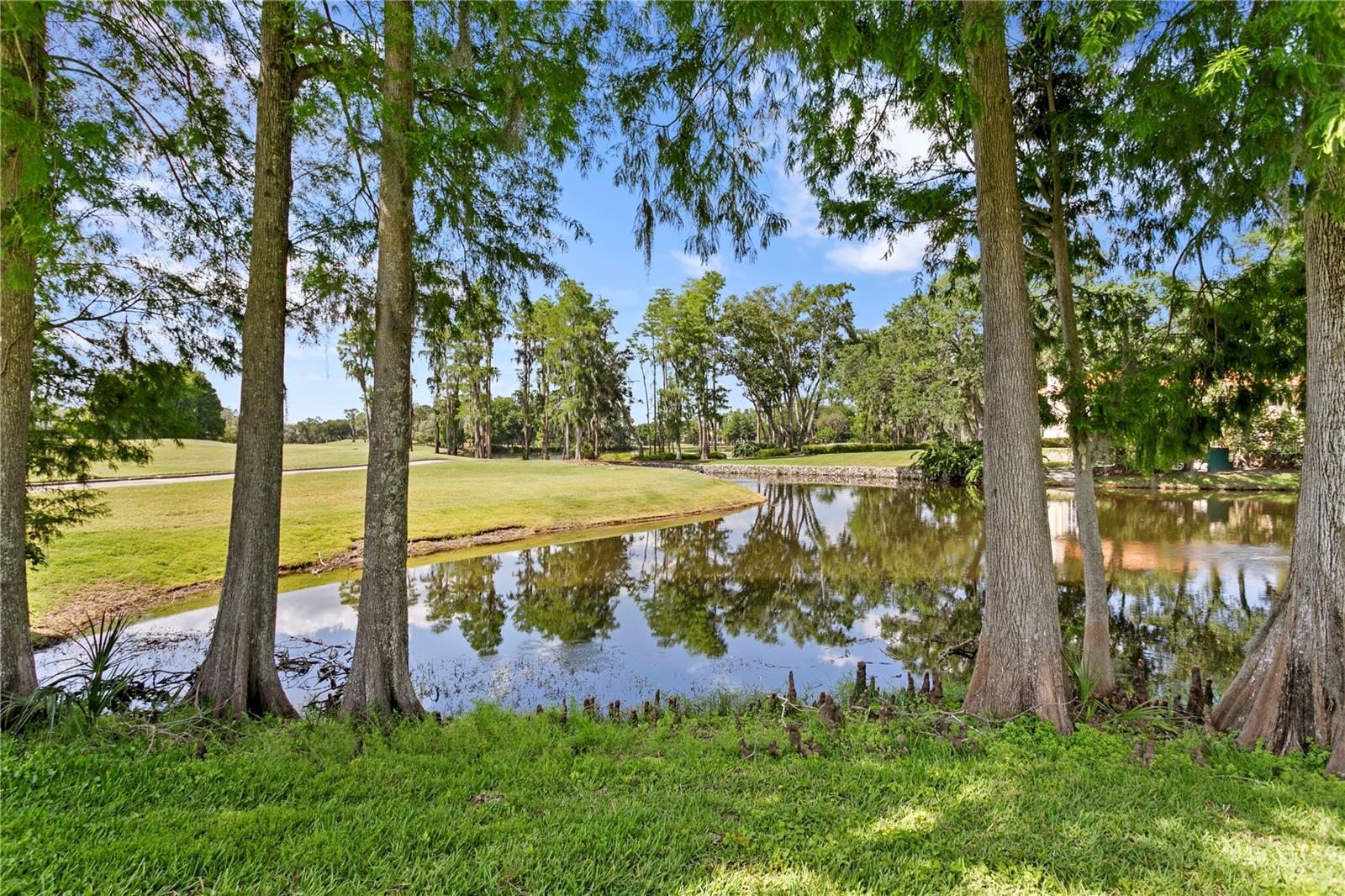 Side yard with pond