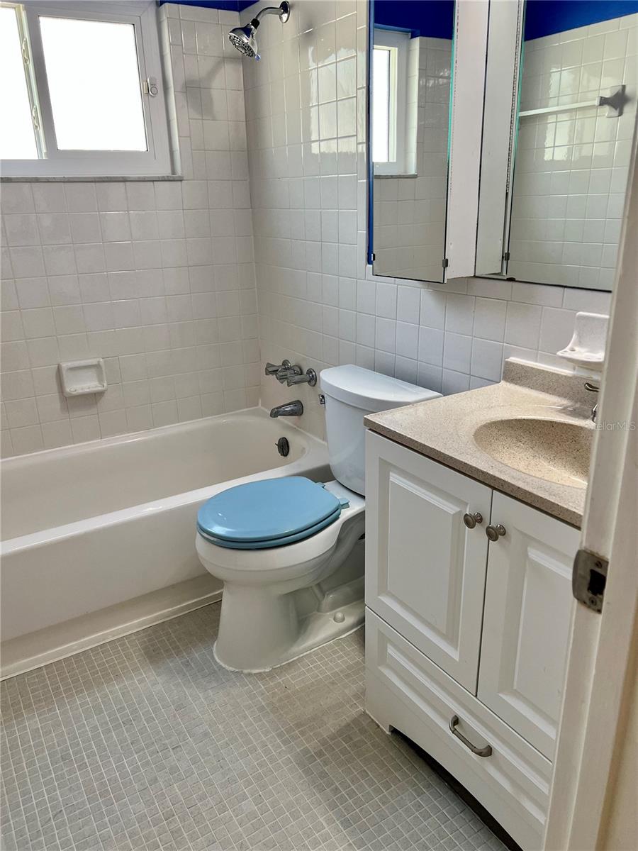 Hall Bathroom