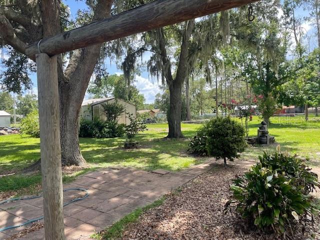 BEAUTIFUL YARD
