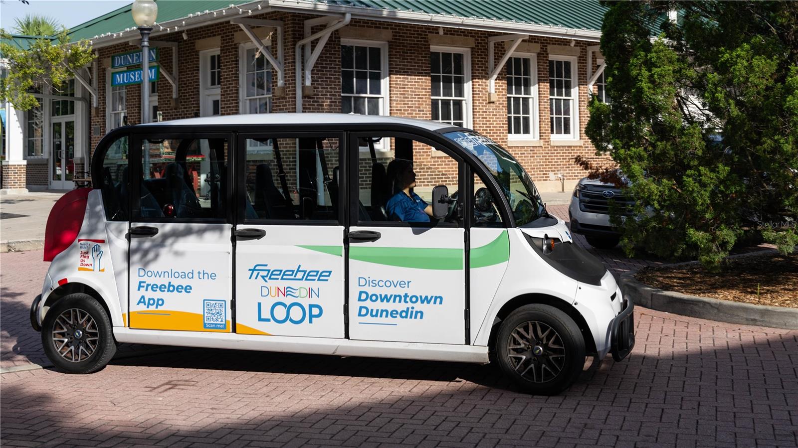 Free Rides in Dunedin!