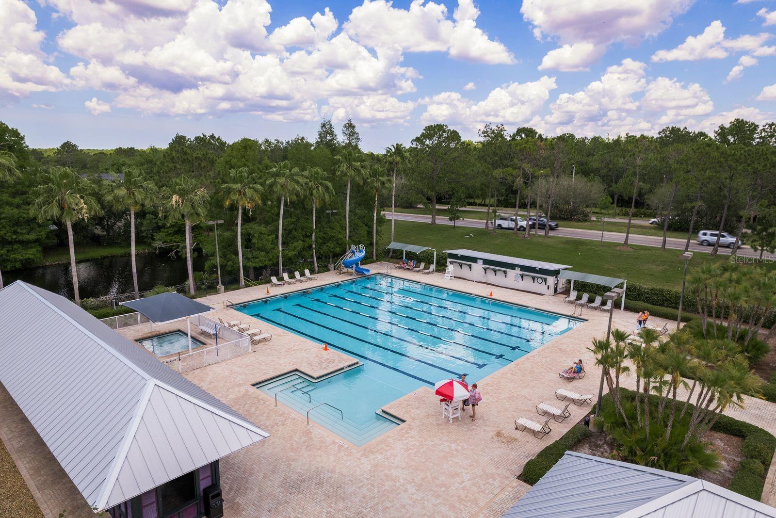 Another Communtiy pool for Westchase