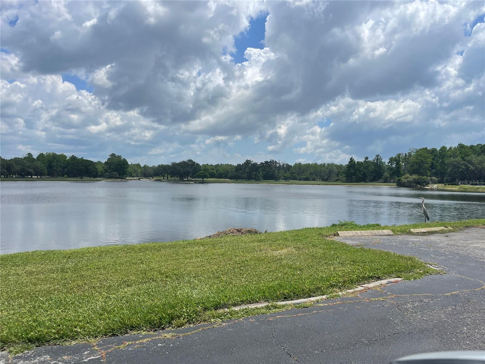 majestic pond behind the building