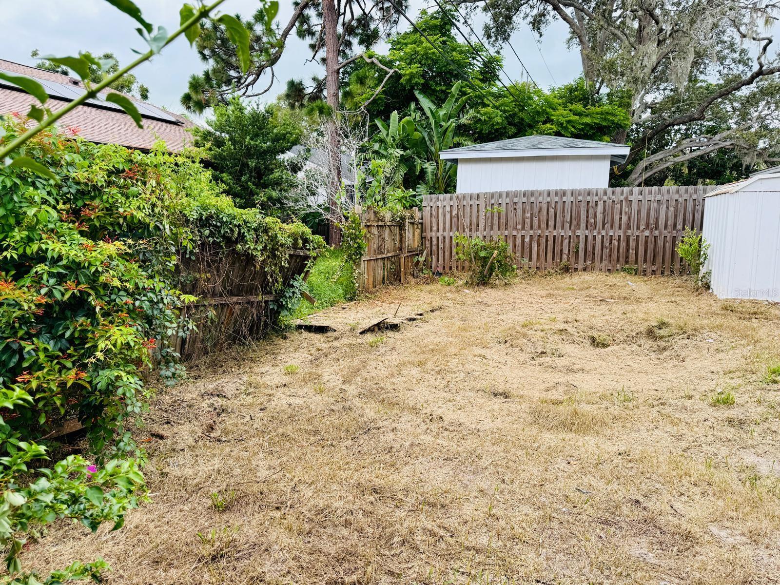 Yard