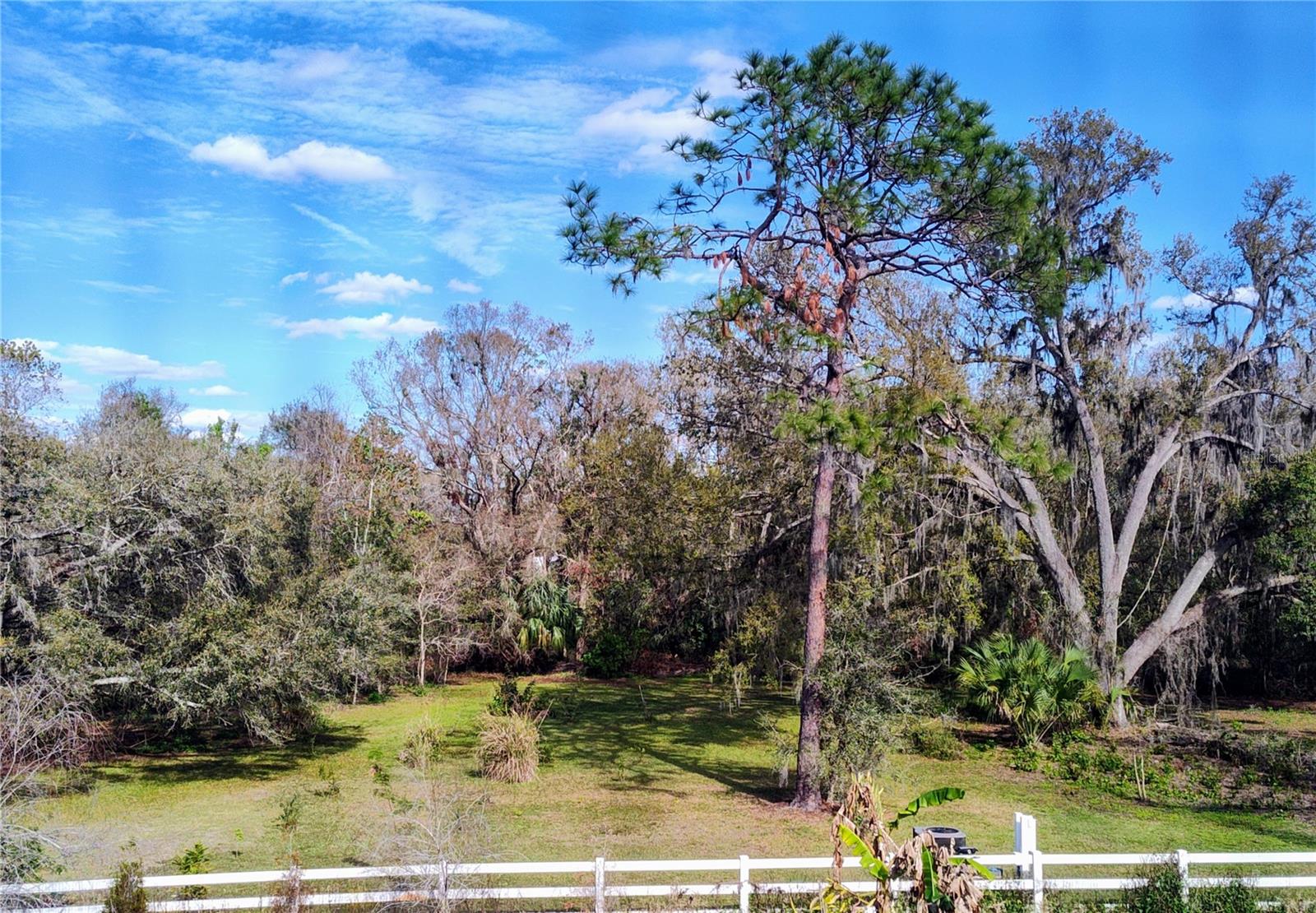 Additional land in rear