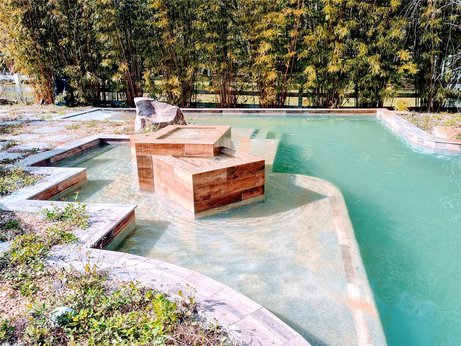 Pool  and fountain view