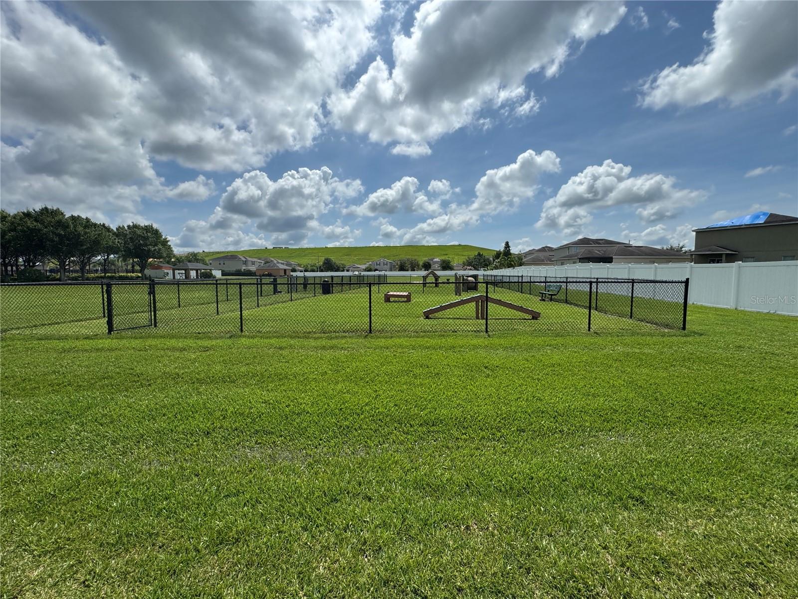 DOG PARK