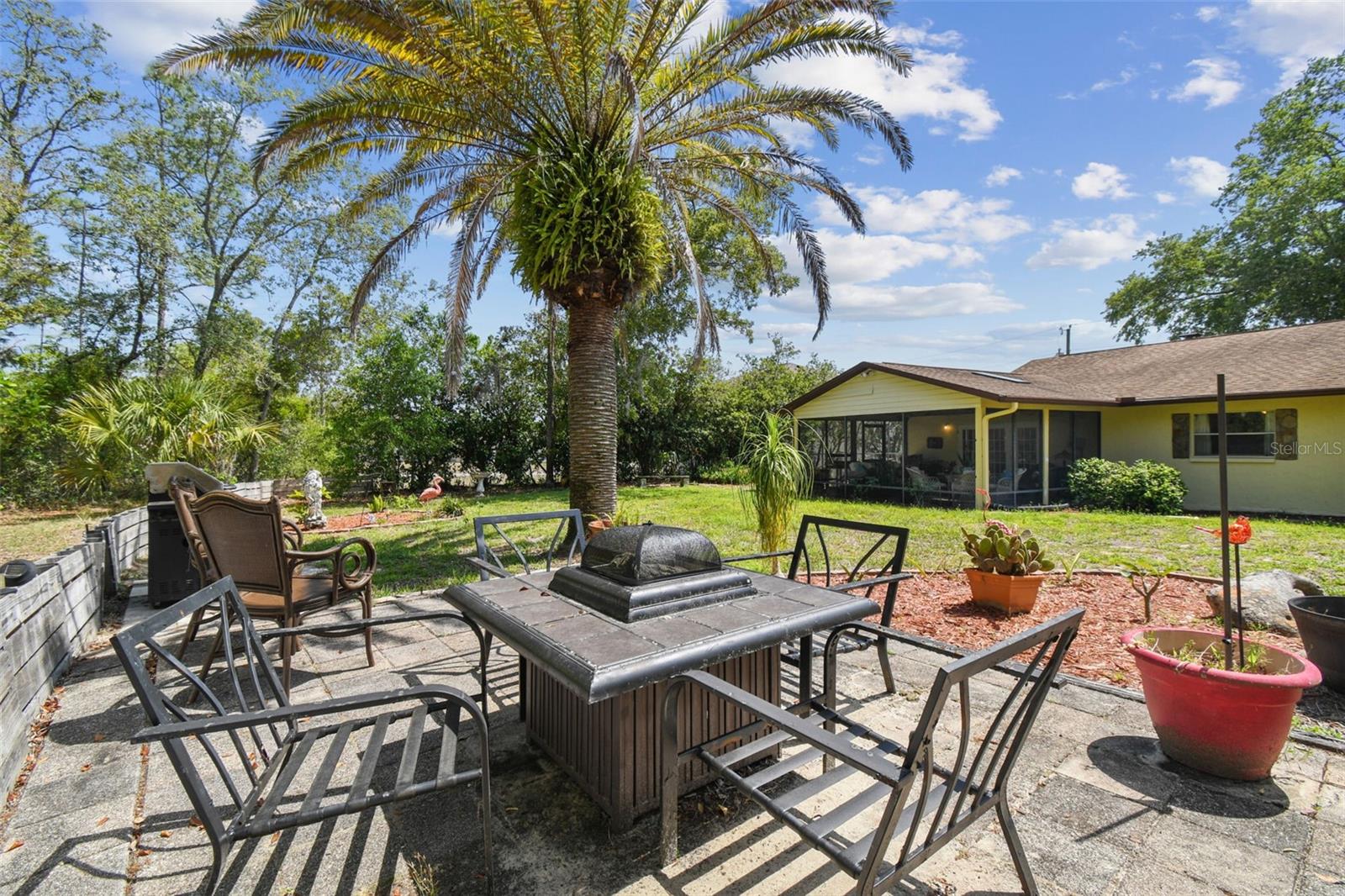 Back Yard