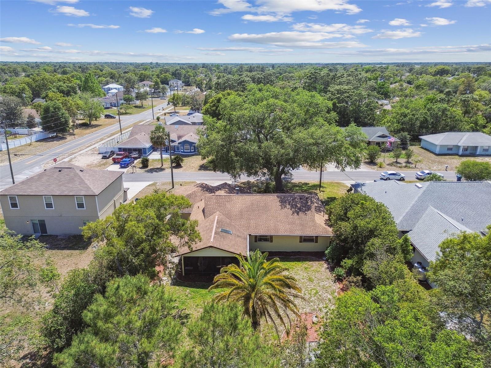 Drone View Back Yard