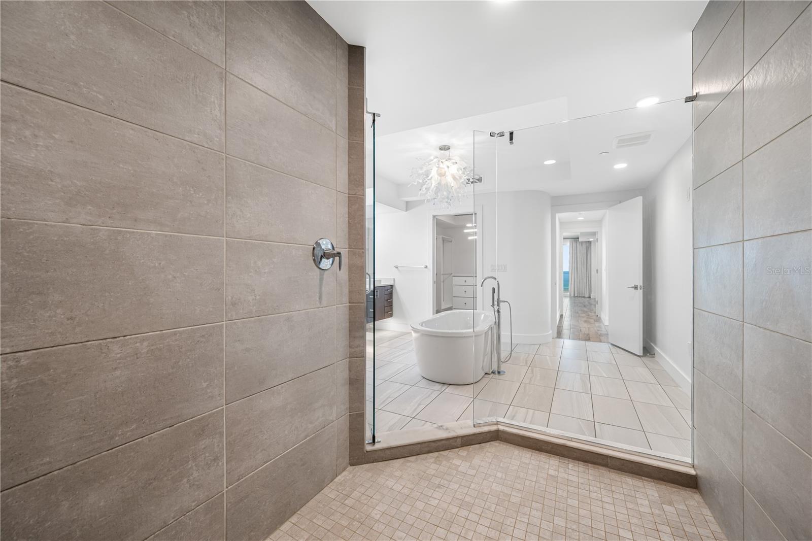 Master Shower