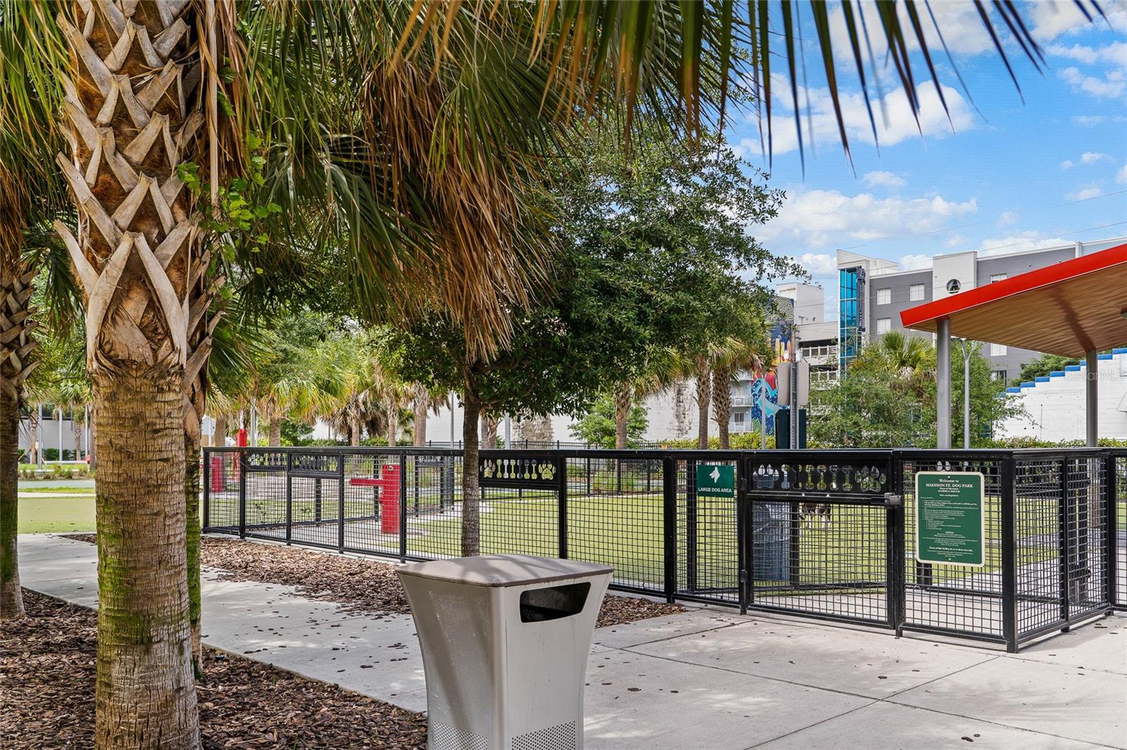 Dog play area.