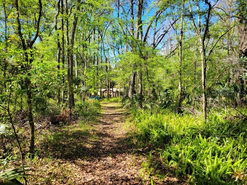 Trail back to main home