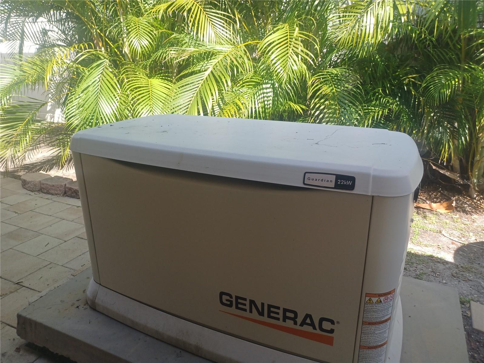 Whole Home Generator