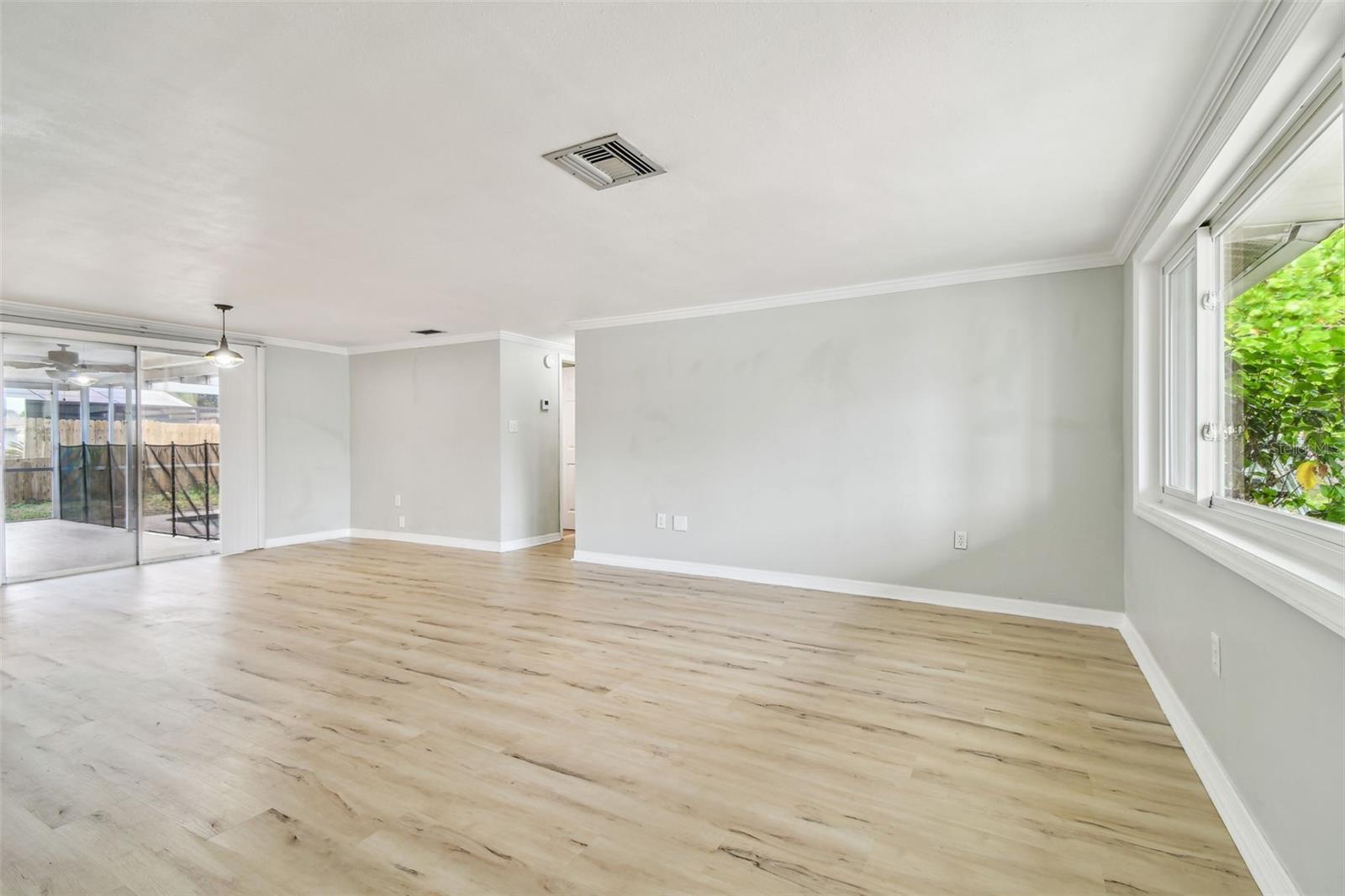 Living room and hallway door