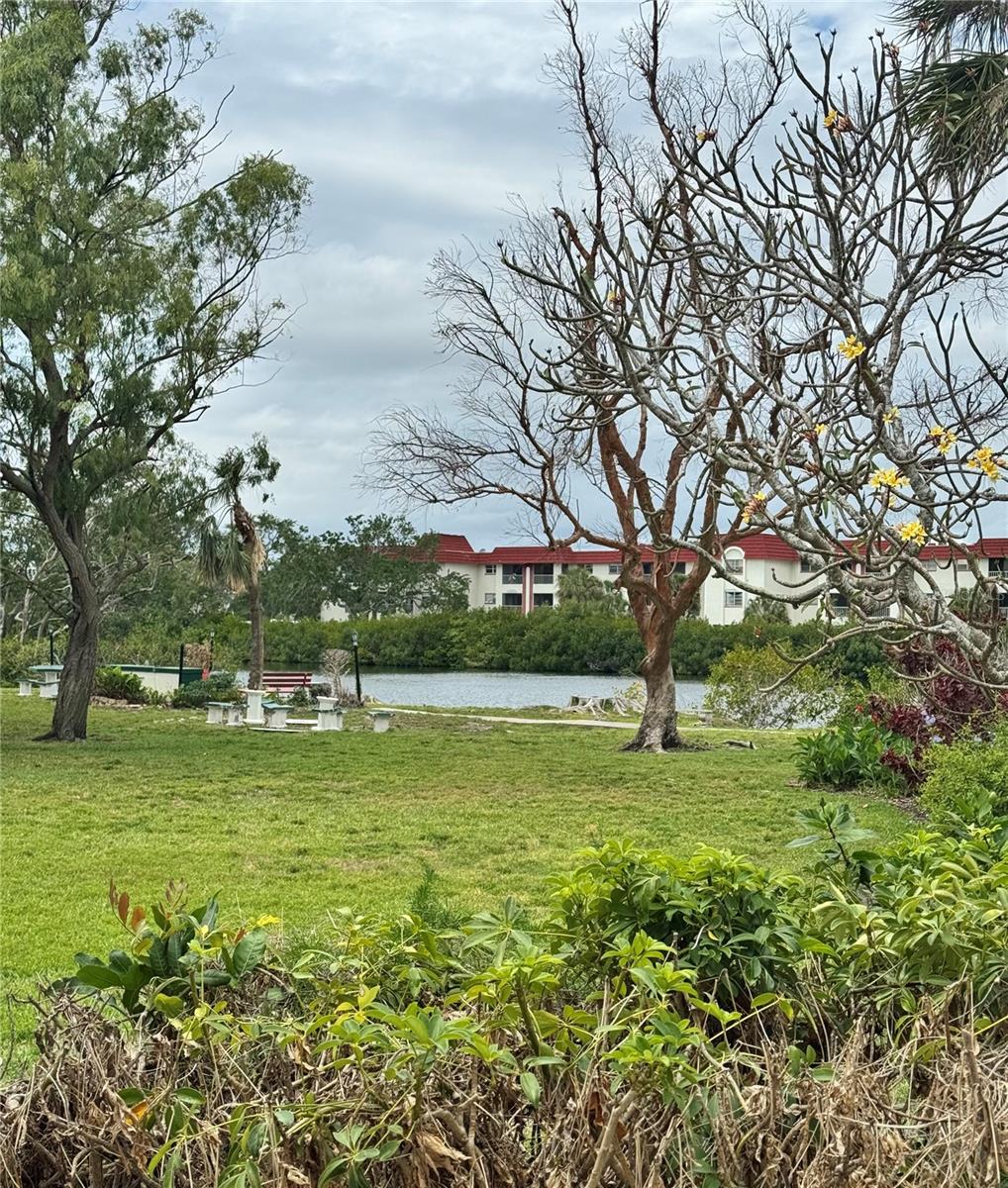 Lake view from your patio
