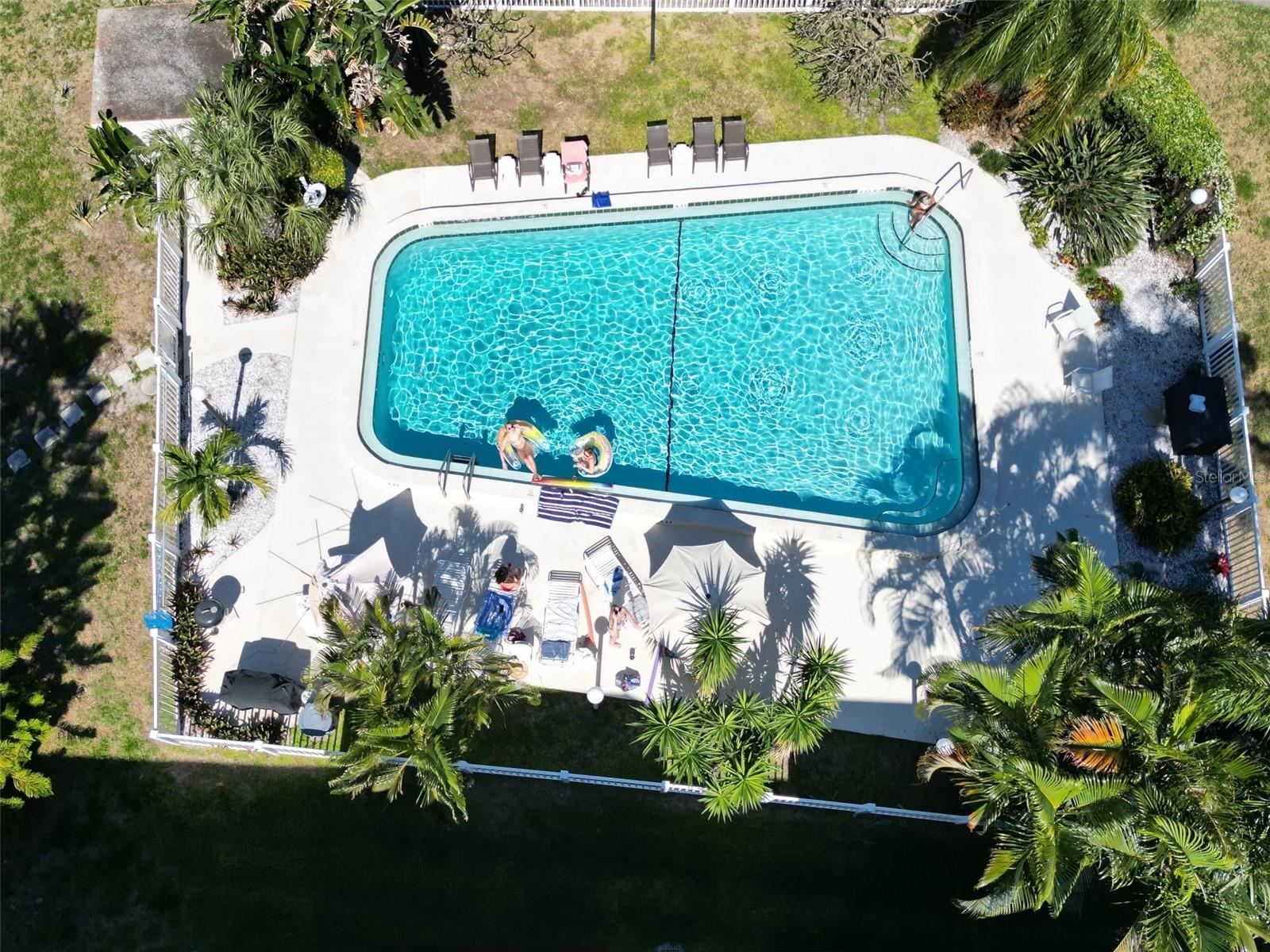 Pool - pre hurricane photo
