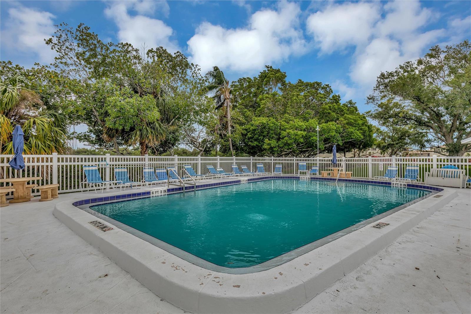 Pool - pre hurricane photo