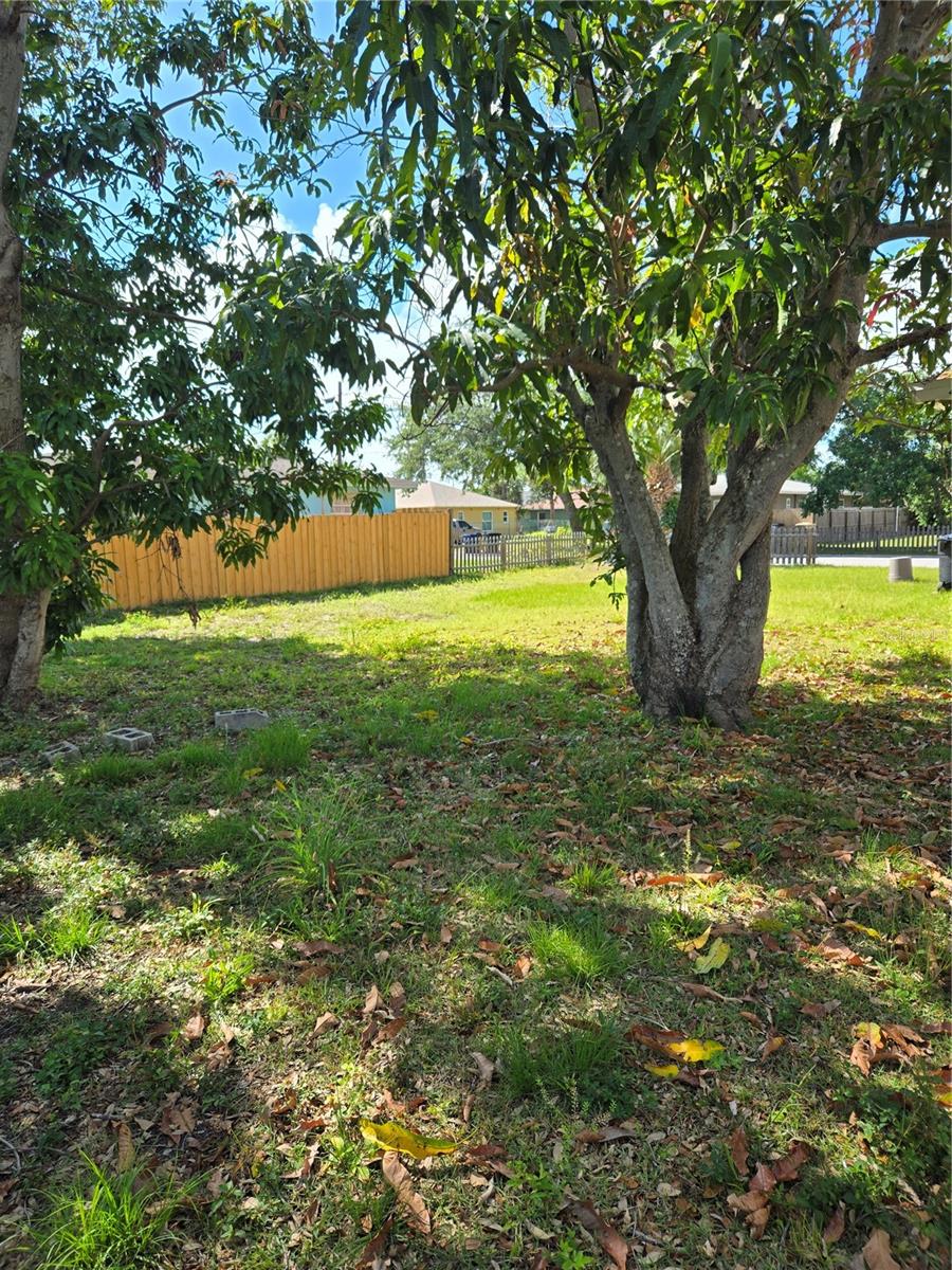 Rear yard