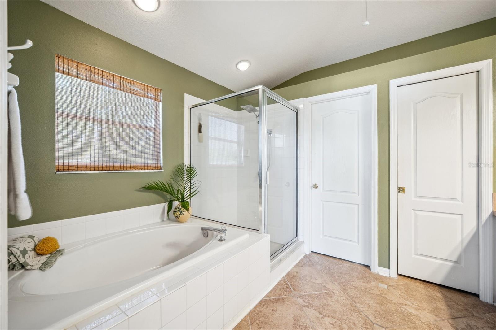 Garden Tub & Glass Shower