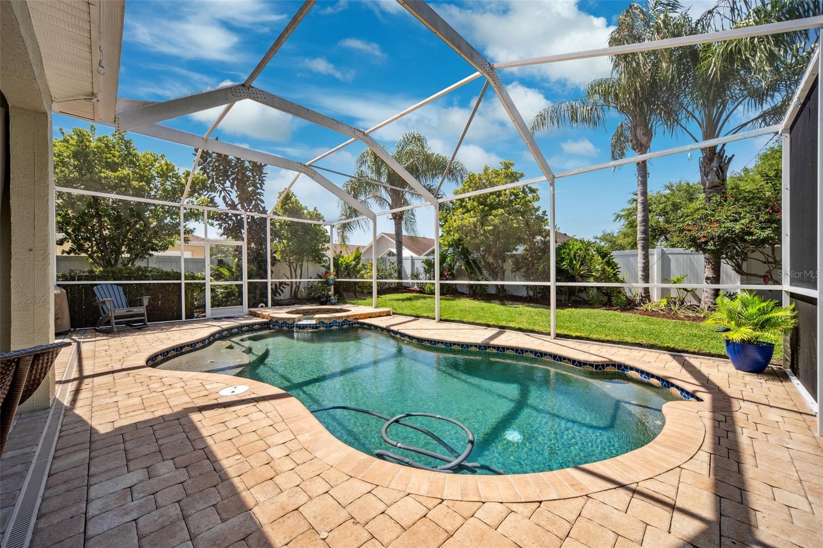 Pool & Backyard