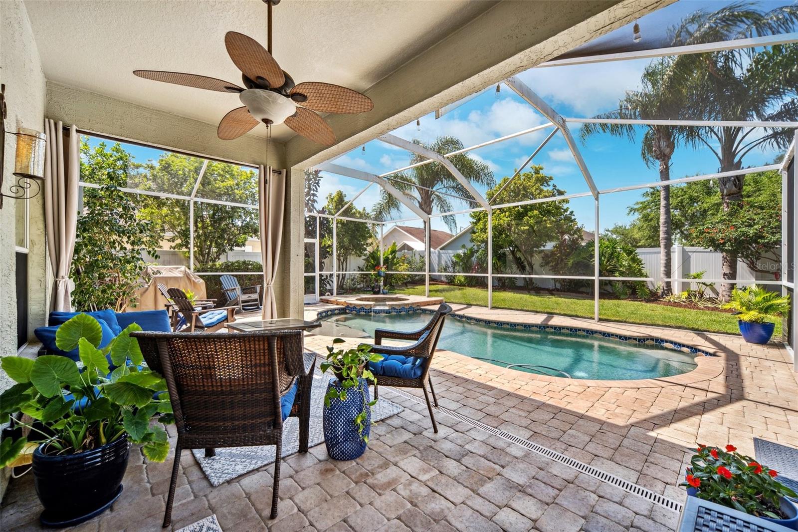 Patio & Pool